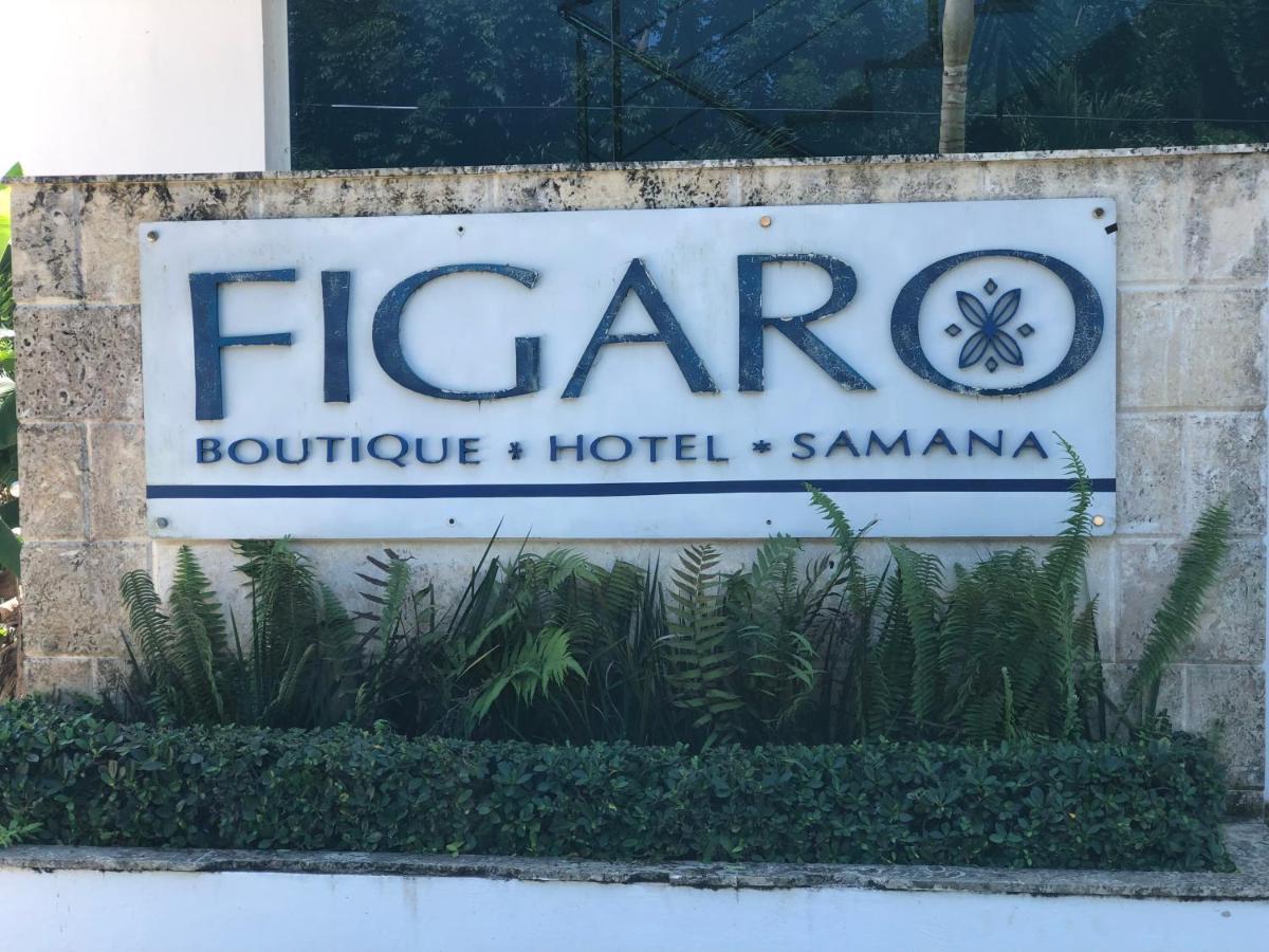 Figaro Hotel Samana מראה חיצוני תמונה